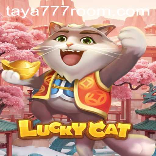 Exploring the Fascinating World of LuckyCat and the Mysterious Taya 777